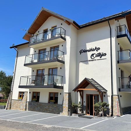 チョルシュティン Pieninska Ostoja Bed & Breakfast エクステリア 写真