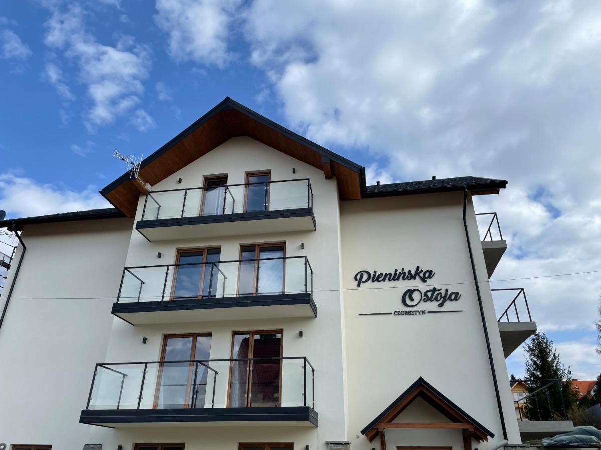 チョルシュティン Pieninska Ostoja Bed & Breakfast エクステリア 写真