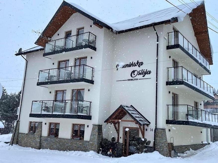 チョルシュティン Pieninska Ostoja Bed & Breakfast エクステリア 写真